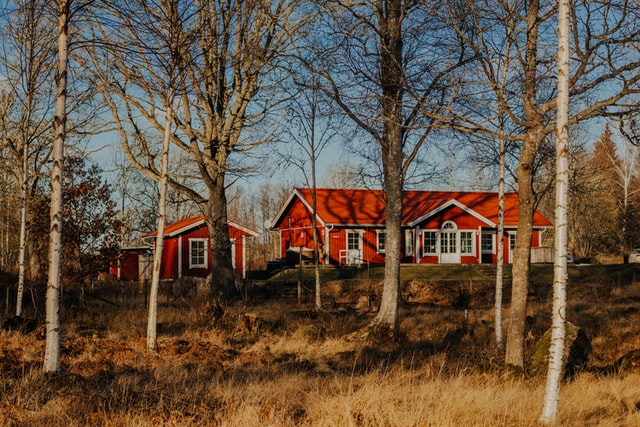 red house in forest