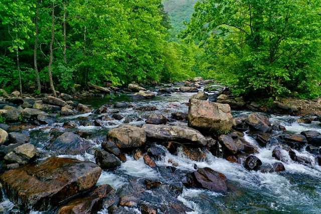 water rushing over stream rocks and green scenery