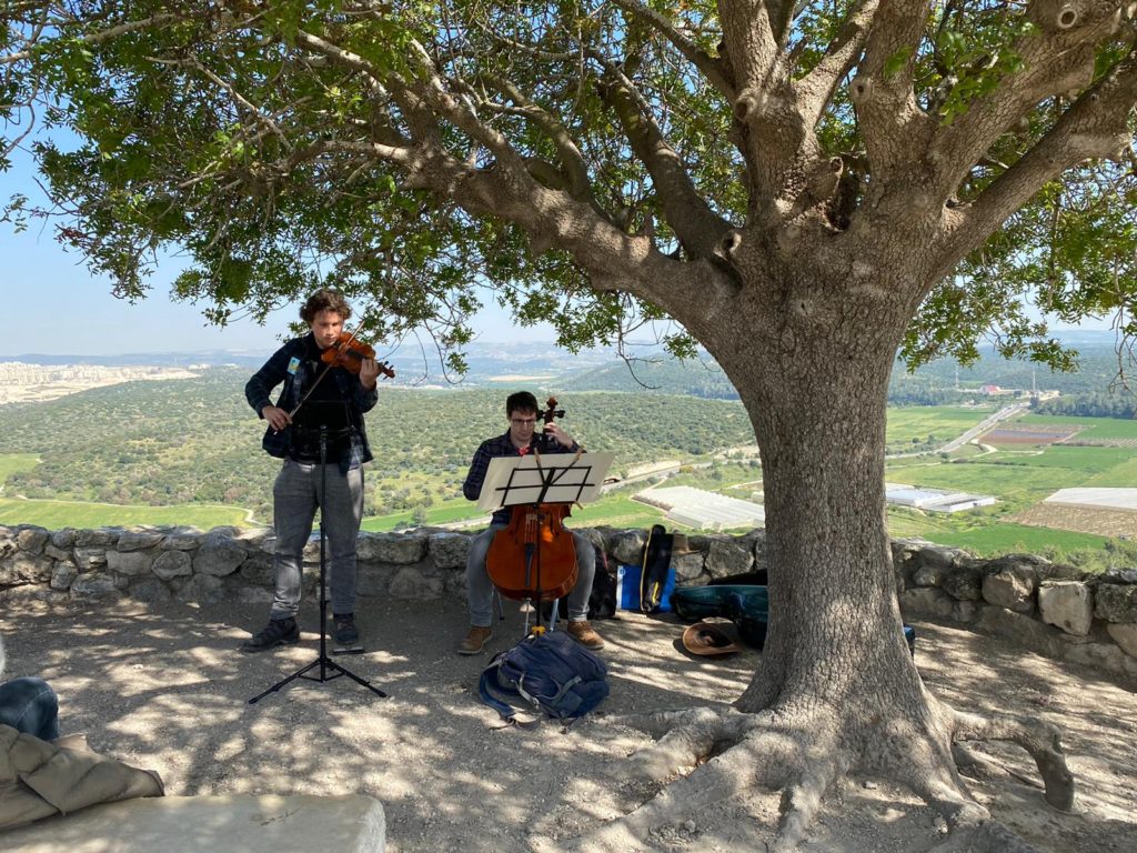 two under tree